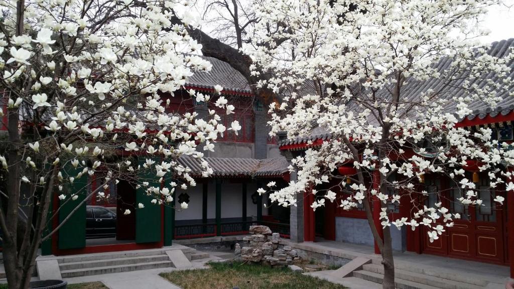 Scholar Tree Courtyard Hotel Пекин Экстерьер фото